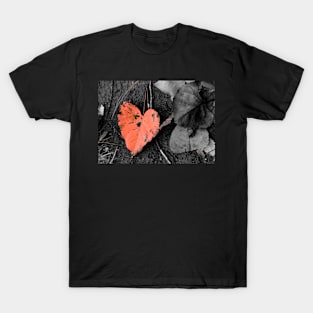 Fall in Love T-Shirt